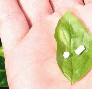 pellet-therapy-utah